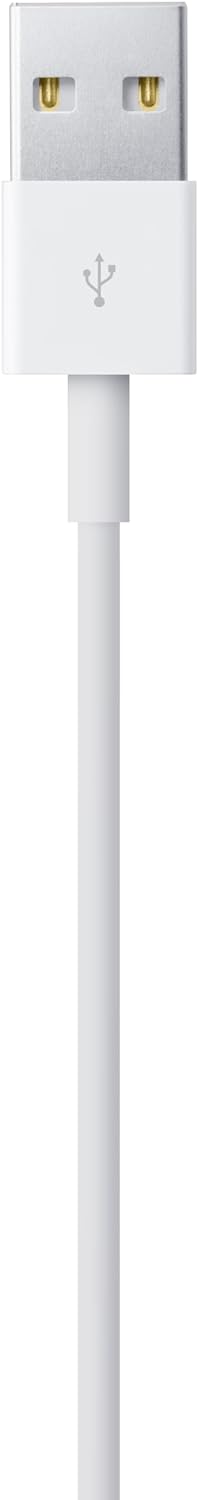 USB-A to Lightning cable (2m)