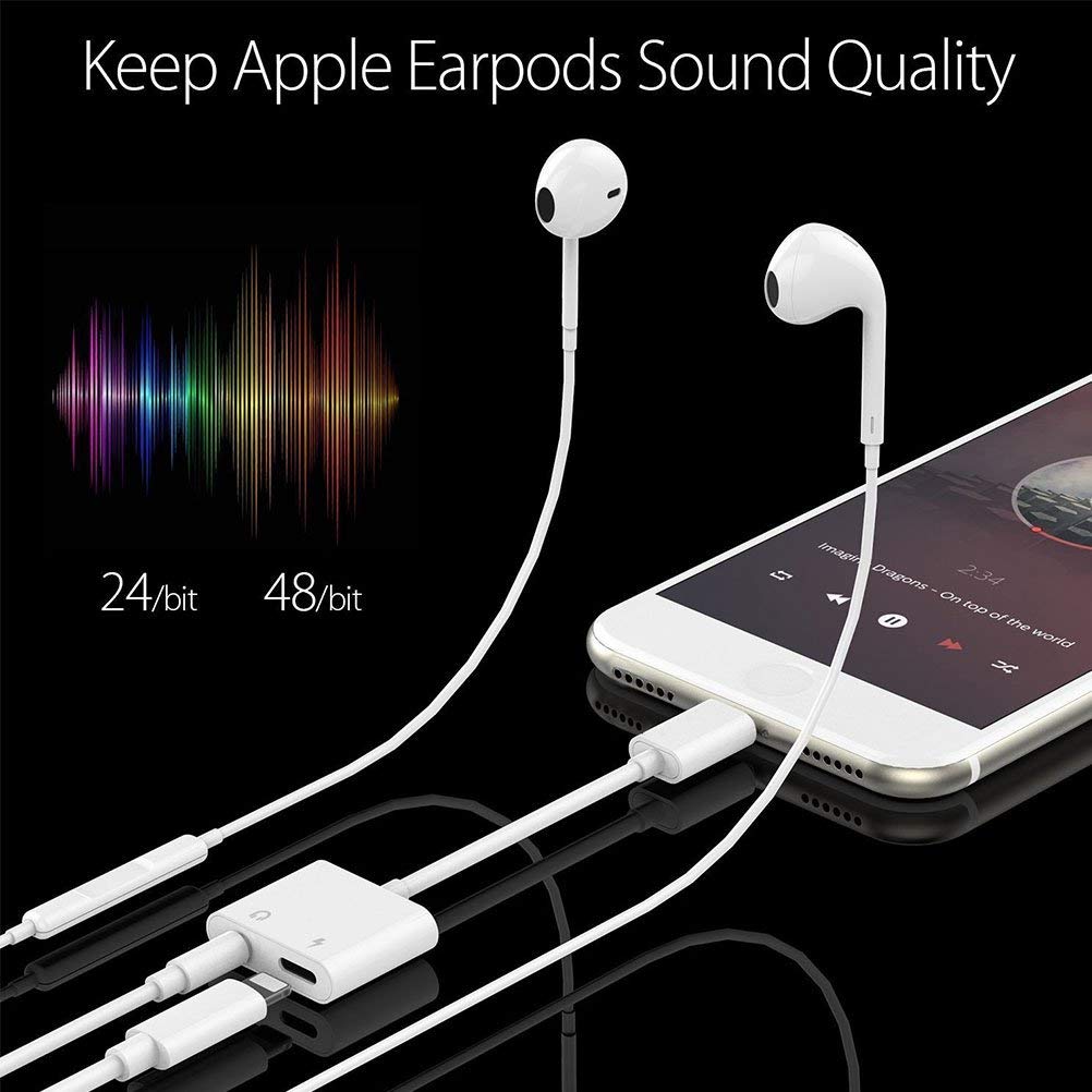Lightning to Aux Dual Adapter